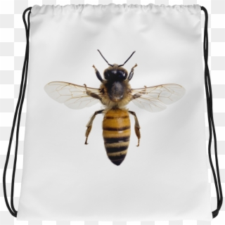Honey-bee Print Drawstring Bag - Honey Bee Wings Out Clipart