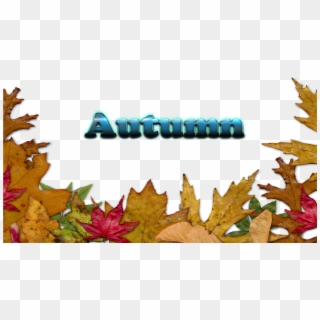 Autumn Leaves Free Download Png - Autumn Leaves Border Png Transparent Clipart