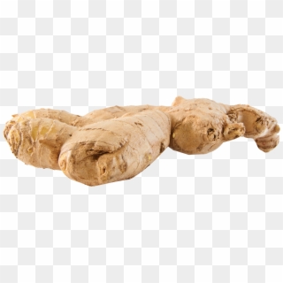 Ginger Png Clipart