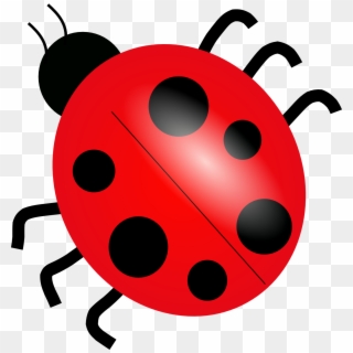 Ladybug Png Picture - Ladybug Clip Art Transparent Png