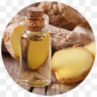 Essential Oil From Ginger Clipart