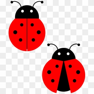 Red Ladybug Png Photos - Ladybug Clipart Transparent Png
