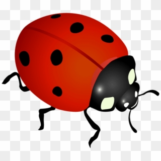 Free Png Download Ladybug Png Images Background Png - Transparent Background Ladybug Clip Art