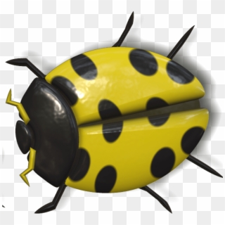 Download Ladybug Yellow And Black Transparent Png - Hewan Ladybug Clipart