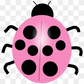 Small - Different Color Ladybug Clip Art - Png Download