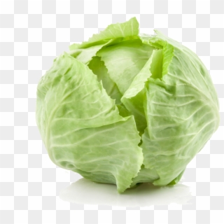 Cabbage Png Background Image - Keräkaali Clipart