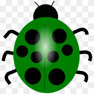Green Ladybug Clipart - Png Download