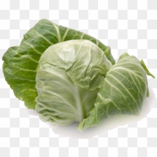 Cabbage Png - Cabbage Definition Clipart