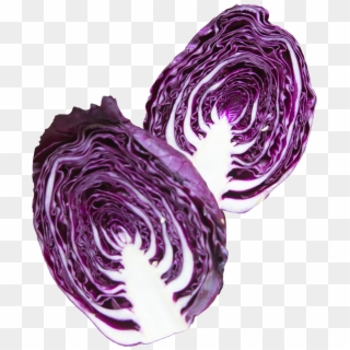 Napa Cabbage Purple Png Image - Purple Cabbage Png Clipart