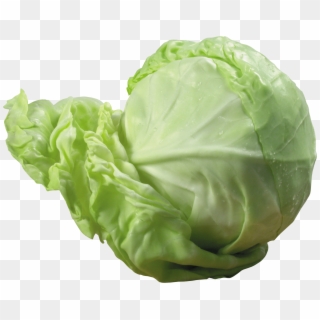 Free Png Download Cabbage Png Images Background Png - Cabbage Transparent Background Clipart
