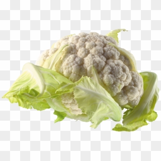 Cabbage Transparent Png Image - Cauliflower Png Clipart