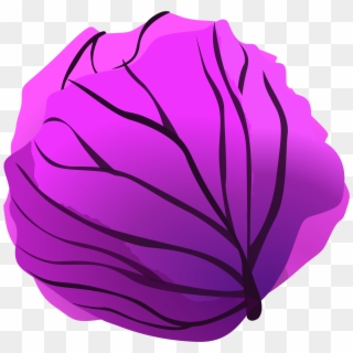 This Free Icons Png Design Of Red Cabbage Clipart