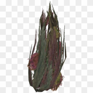 Seaweed Png - Cactus Clipart