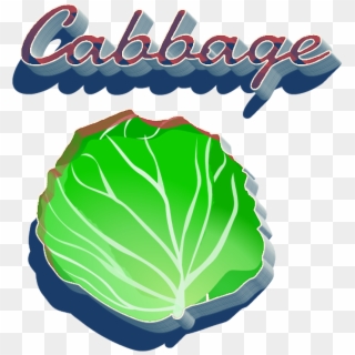Cabbage Png Clipart - Illustration Transparent Png
