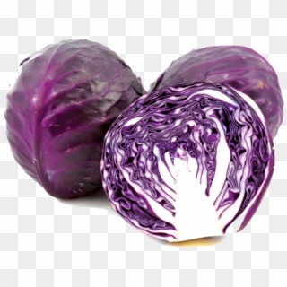 Purple Cabbage Transparent Image - Bắp Cải Tím Clipart