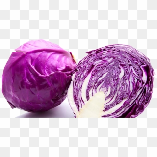 Purple Cabbage Png Image - Purple Cabbage Clipart