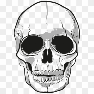 Free Png Skulls Png Images Transparent - Transparent Background Skull Clipart