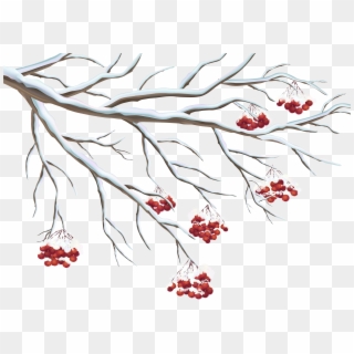 Snowy Berries Png Clipart Gallery Yopriceville High - Winter Berry Tree Drawing Transparent Png