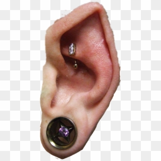 #elf Ear - Earrings Clipart