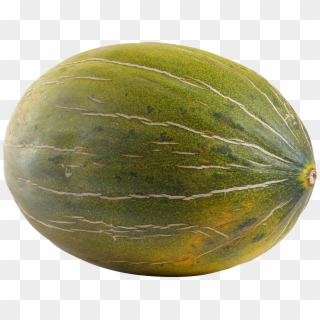 Melon Png - Transparent Melon Clipart