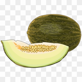Cantaloupe Png Download Clipart