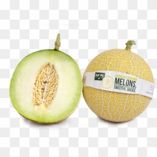 Melon7 - Melon Baby Blonde Clipart