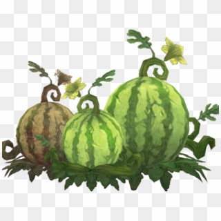 Cantaloupe Clipart Cucumber Melon - Watermelon Plant Clipart Png Transparent Png