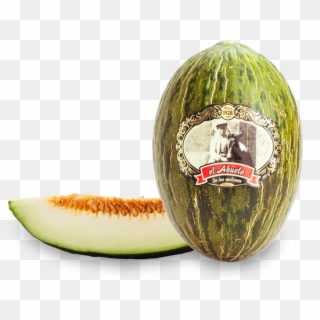 Melon Grandfather - El Abuelo De Los Melones Clipart