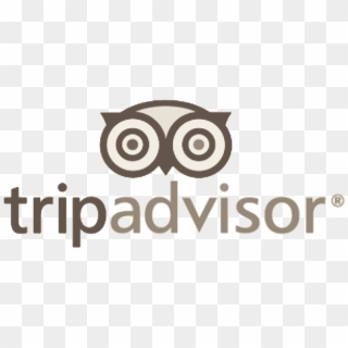 Tripadvisor Logo - Trip Advisor Clipart