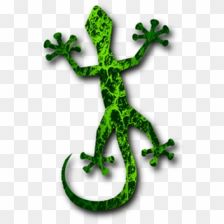 Lizard Chameleons Gecko Green Iguana - Gecko Clipart Transparent - Png Download