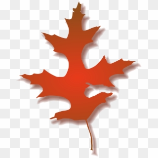 This Free Icons Png Design Of Oak Leaf Clipart