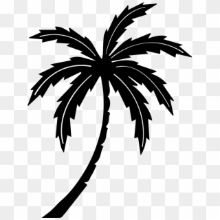 Palm Tree,tree,tropic,free Vector Graphics,free Pictures, - Black And White Palm Tree Clipart