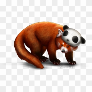 Red Panda Png Picture - Red Fox Clipart