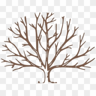 Dead Tree Clipart Tree Outline - Draw A Tree With Snow - Png Download