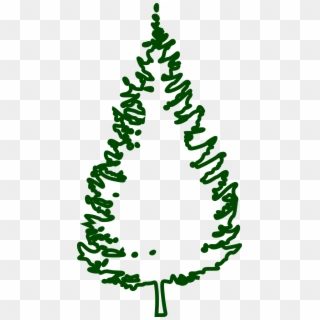 Fir Tree Conifer Tree Forest Png Image - Christmas Tree Png Outline Clipart
