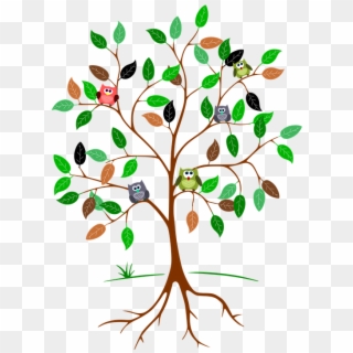 Tree, Root, Leaves, Owls, Green, Brown - Tree With Roots And Branches Clipart