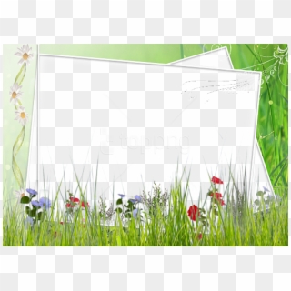 Free Png Best Stock Photos Green And White Transparent - Green Flower Borders And Frames Clipart