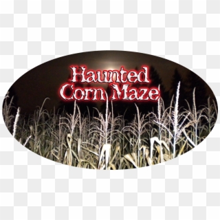 Haunted Corn Maze Clipart