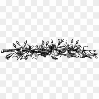 Rustic Png - Border Black And White Flower Transparent Clipart
