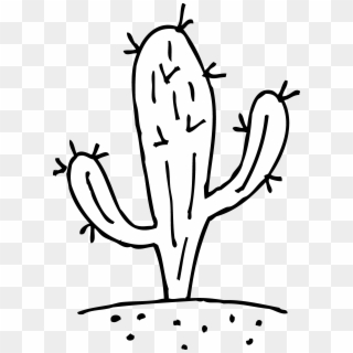 Clip Art Free - Clip Art Cactus Black And White - Png Download