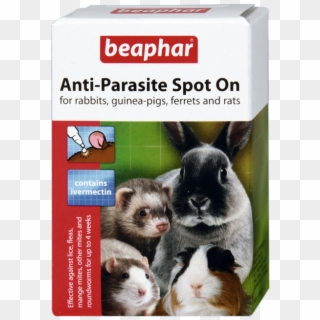 Beaphar Anti-parasite Spot On For Rabbit And Rodents - Beaphar Anti Parasite Spot Clipart