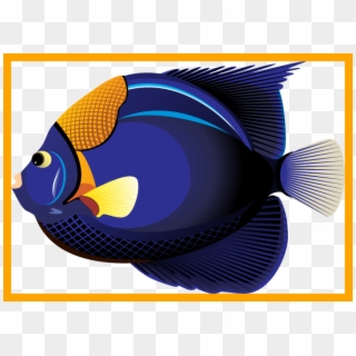 Fascinating Collection Of Fish Clipart Bw High Quality - Realistic Fish Clip Art - Png Download