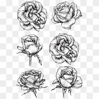 Rose Flower Drawing - Black And White Rose Png Clipart