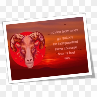 Advice From Aries - Bighorn Clipart