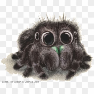 Informasi Seputar Tarantula Dan Kalajengking - Cute Spiders To Draw Clipart