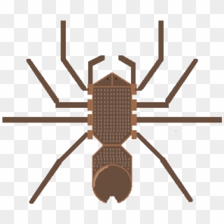 Tarantula State - Insect Clipart