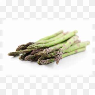 8 Absolutely Interesting Facts For Asparagus Lovers - Verdura En Forma De Palito Clipart