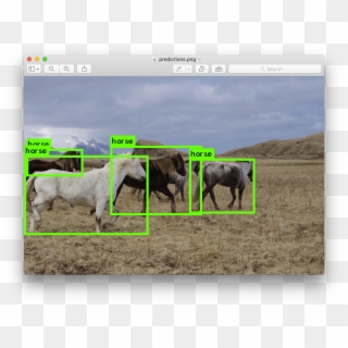 Enter An Image Path Like Data/horses To Have It Predict - Object Detection Clipart