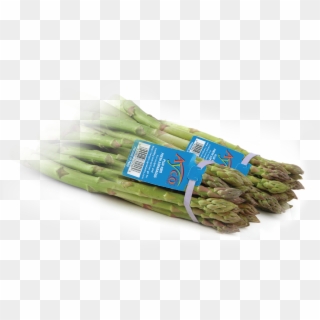 Begins With Healthy Eating - Asparagus Clipart