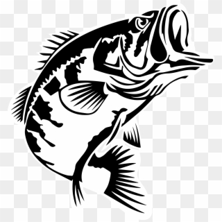 Teespring - Bass Fish Respect Logo Clipart